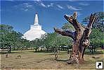    (Ruwanweli),  (Anuradhapura), -.