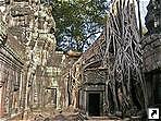    (Ta Prohm), , .