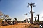   (Avenue de Baobab),  (Morondava), .