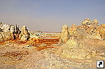   (Dalol)     (Hamd Ela),   (Danakil Depression), .