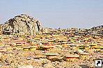   (Dalol)     (Hamd Ela),   (Danakil Depression), .