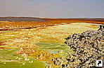   (Dalol)     (Hamd Ela),   (Danakil Depression), .