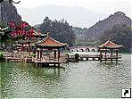  (Zhaoqing),   (Guandong), .