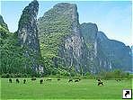  (Guilin), -   (Guangxi Zhuang), .