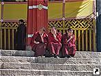   (Drepung),   , .