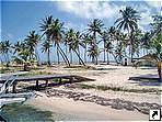    (Half Moon Caye),  , .