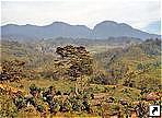   (Baliem Valley),   ,   (Irian Jaya), .