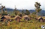   (Baliem Valley),   ,   (Irian Jaya), .