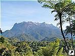   (Kinabalu),   (Sabah),   (), .