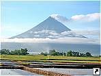   (Mayon),   (Luzon), .