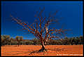 Gawler Ranges NP, Eyre Peninsula, South Australia (820x552 186Kb)