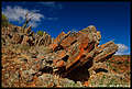 Kolay Mirica Falls (3), Gawler Ranges NP, Eyre Peninsula, South Australia (820x552 223Kb)