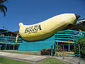           (The Big Banana)   - (Coffs Harbour),     1964 . (500x375 122Kb)