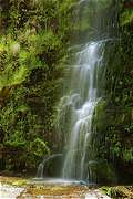 Erskine Falls, Lorne, , . (466x700 234Kb)